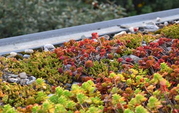 the cost of Quoyscottie green roof installation