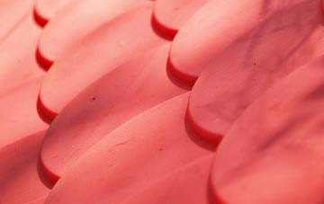 Quoyscottie plastic roof costs