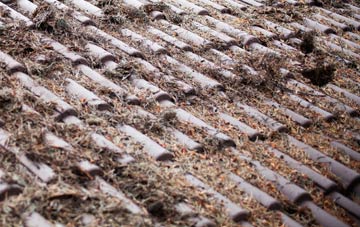 Quoyscottie roof cleaning companies