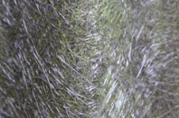 Quoyscottie fibreglass roof work